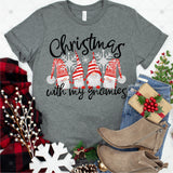 Transfer 000094 - Christmas with My Gnomies