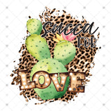Transfer 000176 - Succa For Love