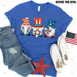 Transfer 000269 - Patriotic Gnomes