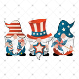 Transfer 000269 - Patriotic Gnomes