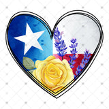 Transfer 000342 - Texas Heart
