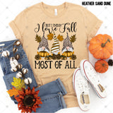 Transfer 000370 - I Love Fall Most of All Gnomes