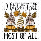 Transfer 000370 - I Love Fall Most of All Gnomes