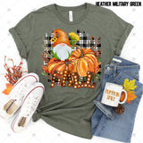 Transfer 000376 - Fall Gnome