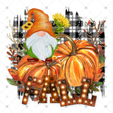 Transfer 000376 - Fall Gnome