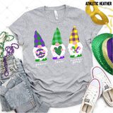 Transfer 000432 - Mardi Gras Gnomes