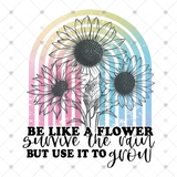 Transfer 000466 - Be Like a Flower