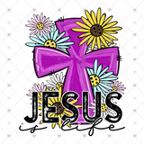 Transfer 000474 - Jesus is Life
