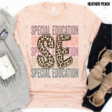 Transfer 000501 - Education Occupation Titles Stacked Word Art Leopard