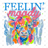 Transfer 000505 - Feelin' Moody