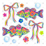 Transfer 000563 - Colorful Coquette Fish