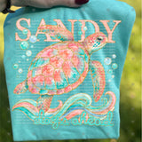 Transfer 000566 - Sandy Days Ahead Sea Turtle