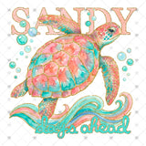 Transfer 000566 - Sandy Days Ahead Sea Turtle