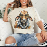 Transfer 000572- Boujee Glam Mascots