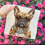 Transfer 000572- Boujee Glam Mascots