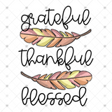 Transfer 000679 -  Grateful Thankful Blessed Feathers