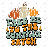 Transfer 000691 - Take Me to the Pumpkin Patch Retro