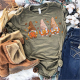 Transfer 000693 - Fall Gnomes