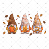 Transfer 000693 - Fall Gnomes