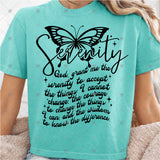 Transfer 000730 - Serenity Prayer