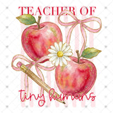 Transfer 000734 - Teacher of Tiny Humans