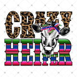 Transfer 000869 - Crazy Heifer