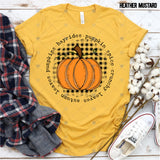Transfer 000880 - Hayrides Pumpkin Spice Plaid Pumpkin