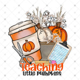 Transfer 000889 - Teaching Little Pumpkins