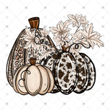 Transfer 000895 - Leopard Pumpkins
