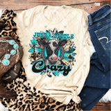 Transfer 000911 - Just A little Crazy