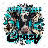 Transfer 000911 - Just A little Crazy