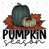 Transfer 000966 - Pumpkin Season