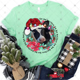 Transfer 001076 - Ho Ho Heifers