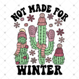 Transfer 001173 - Cactus Not Made for Winter