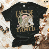 Transfer 001224 - Can't be Tamed