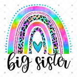 Transfer 001298 - Big Sister Rainbow