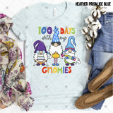 Transfer 001497 - 100 Days with My Gnomies
