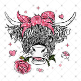 Transfer 001528 - Valentine Hyland Cow