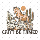 Transfer 001656 - Can't Be Tamed Horse in the Desert