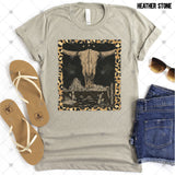 Transfer 001665 - Leopard Desert Scene