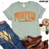 Transfer 001698 - Polka Dot Pumpkin