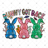 Transfer 001710 - Bunny Got Back