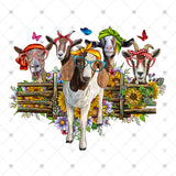 Transfer 001736 - Goats with Glasses and Sunflowers