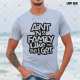 Transfer 001741 - Ain't No Family like the One I Got