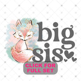 Transfer 001748 - Fox Big Little Sis