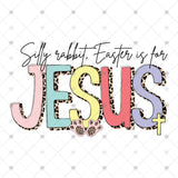 Transfer 001778 - Silly Rabbit Easter is for Jesus