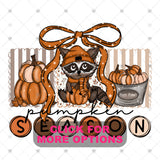 Transfer 001785 - Pumpkin Season Raccoon