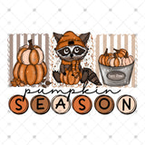 Transfer 001785 - Pumpkin Season Raccoon
