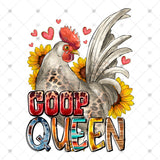 Transfer 002007 - Coop Queen