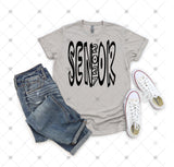 Transfer 002221 - Senior 2027 Outline